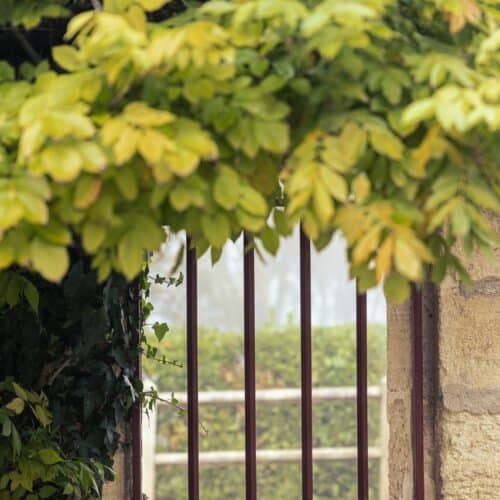 chateau de barbe blanche grilles