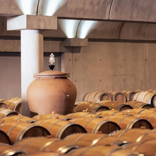 chateau la louviere visite chateaux pessac leognan chais amphores
