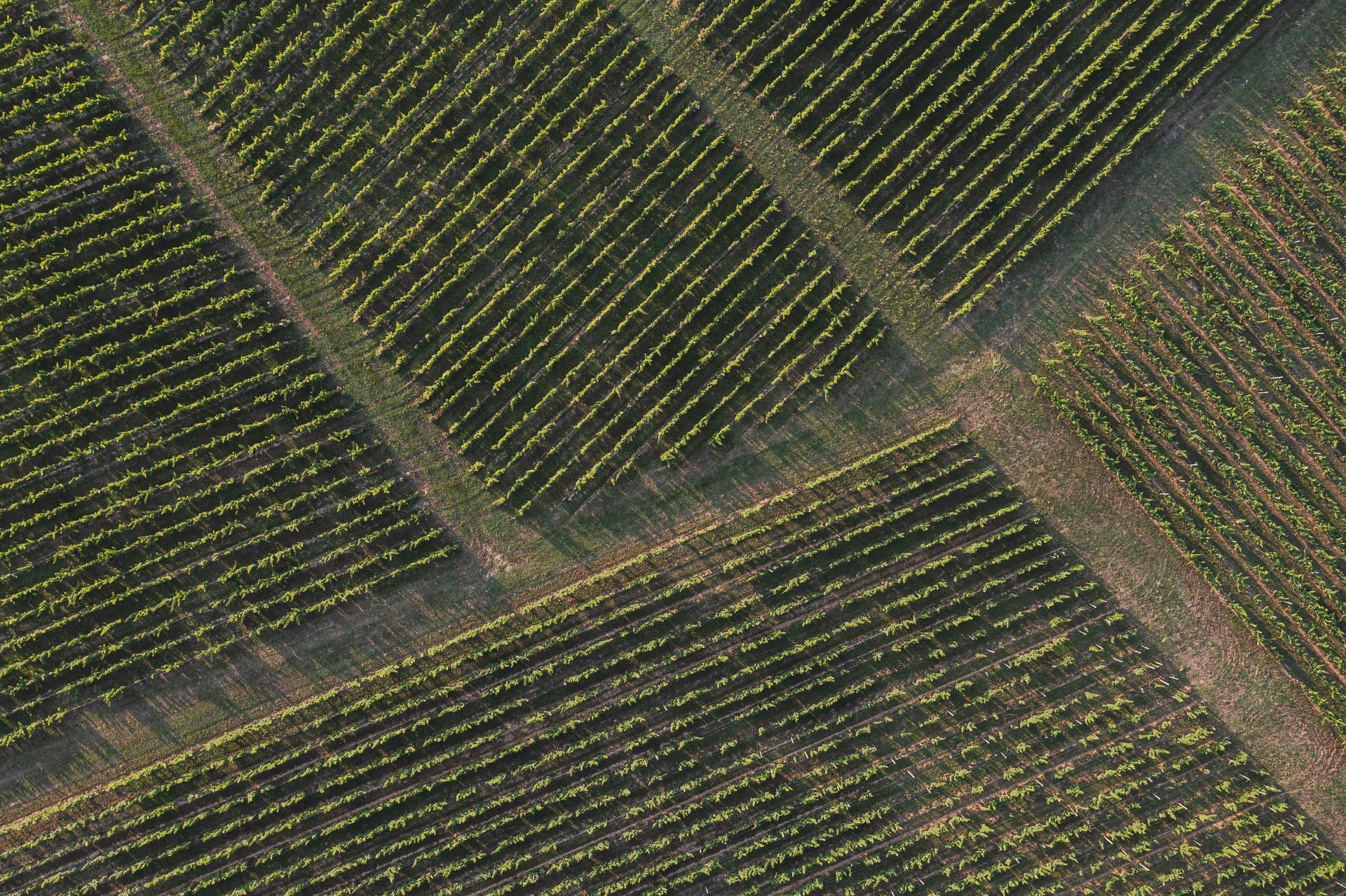vignoble chateau de barbe blanche vue aérienne vignes