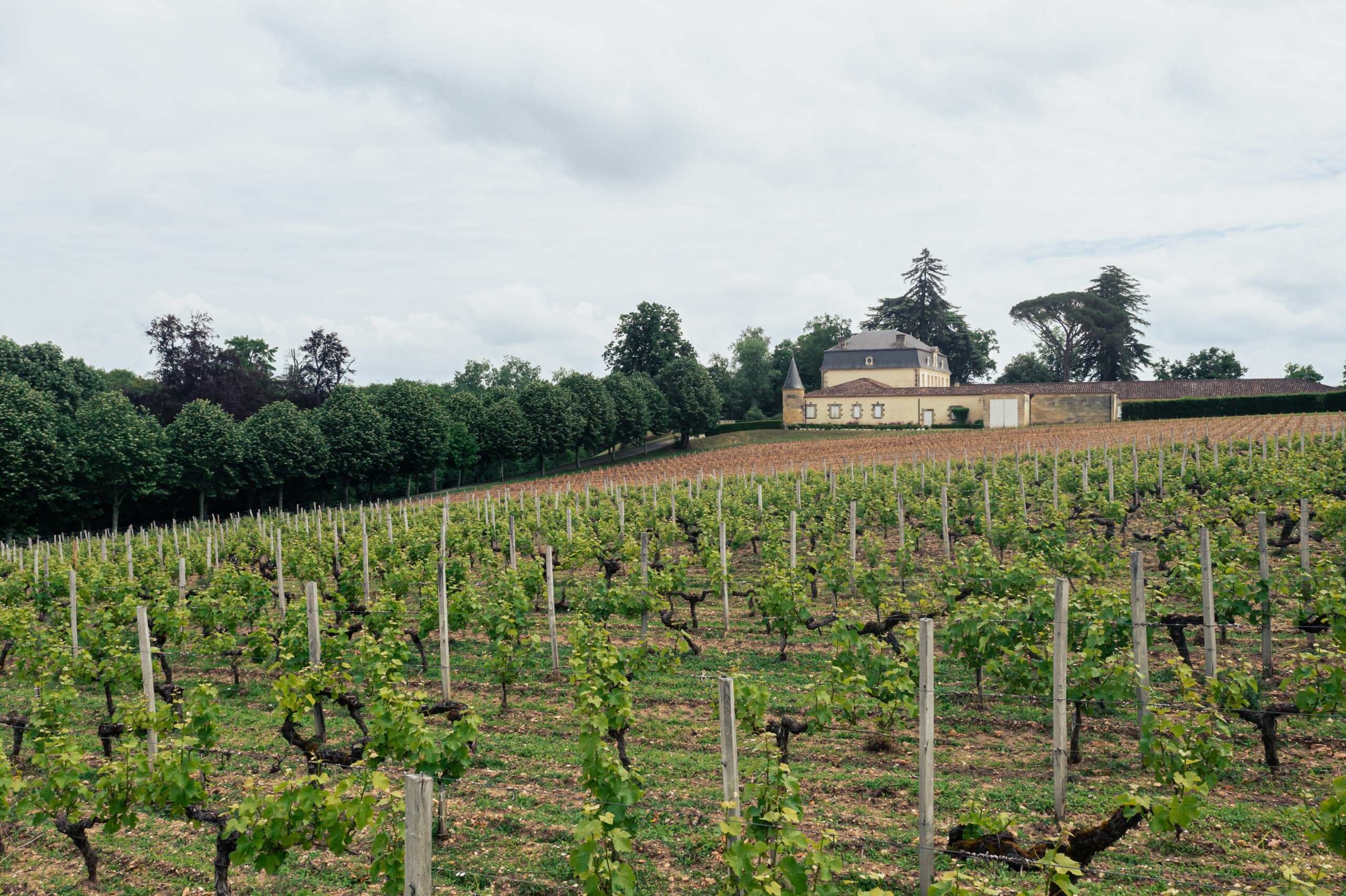 château Couhins-Lurton et son vignoble en A.O.C. Pessac-Léognan