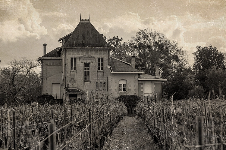 Château de Cruzeau et son vignoble