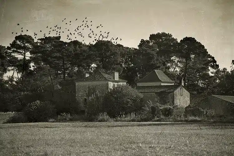 château de Rochemorin