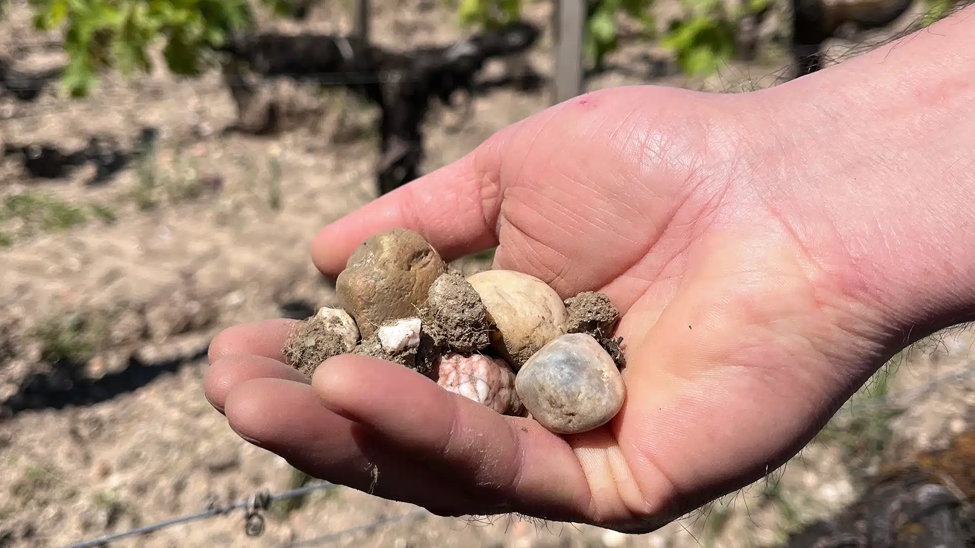 visite de Château Bordeaux exclusive 