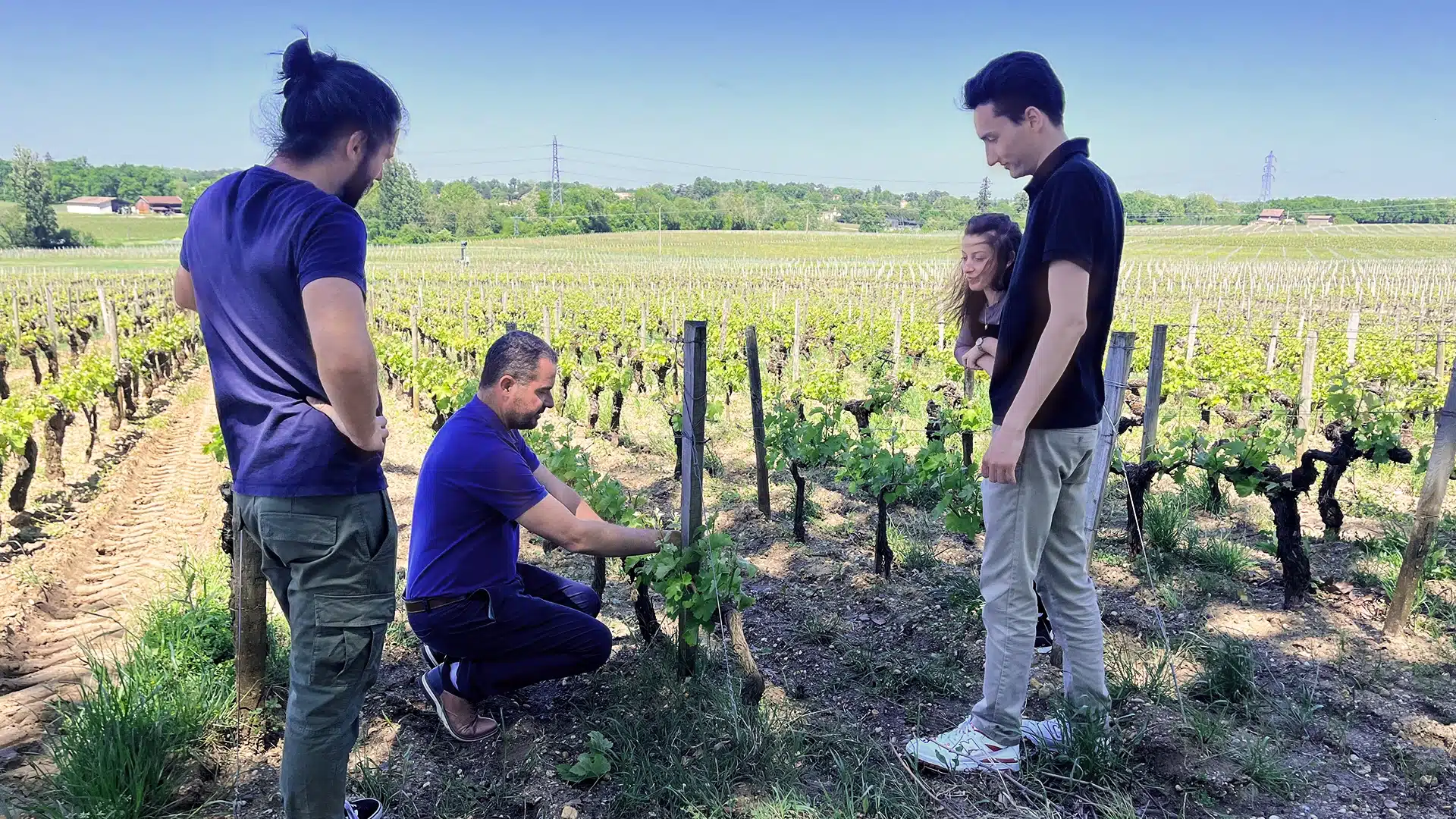 visite de Château Bordeaux exclusive 